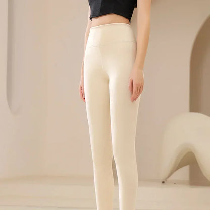 Faux Sheer Fleece Lined Tights